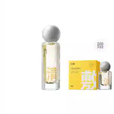C 110ml