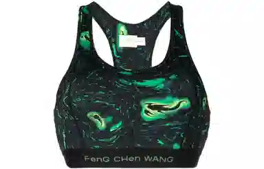 FENG CHEN WANG