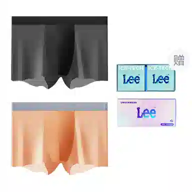 Lee 2