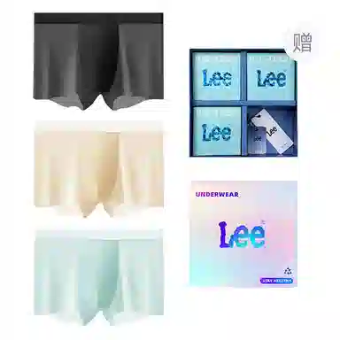 Lee 101 10A 3