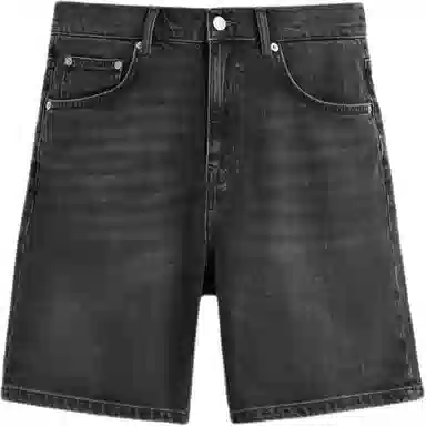 ZARA Denim Shorts