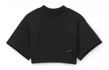 alexander wang SS21 T