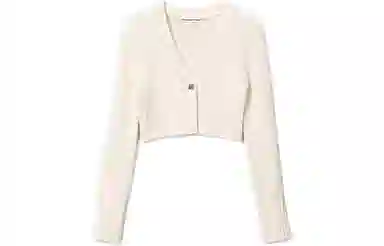 alexander wang SS22 V