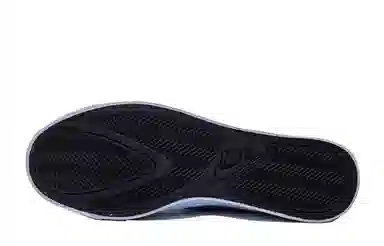 Nike Court Royale AC 2