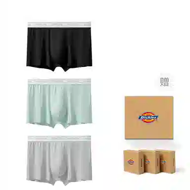 Dickies 3
