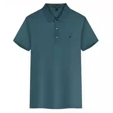 PIERRE CARDIN Polo