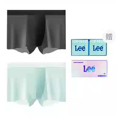 Lee 2