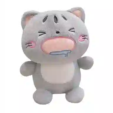 16cm30cm