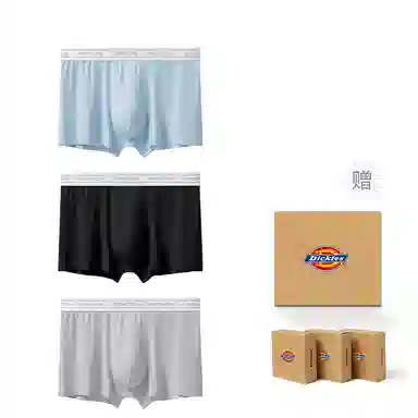 Dickies 3