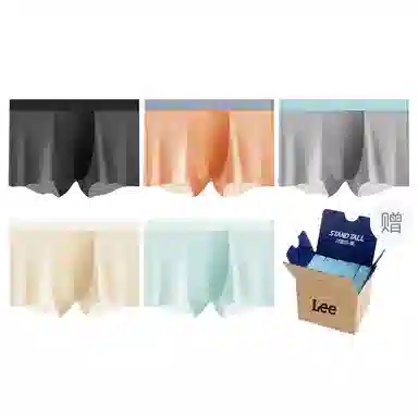 Lee 101 10A 5