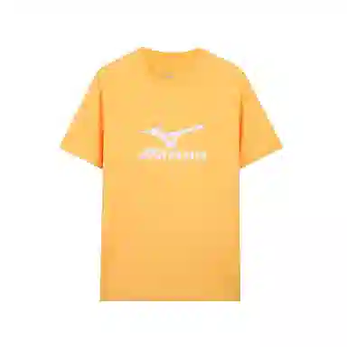 Mizuno T