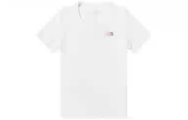THE NORTH FACE T