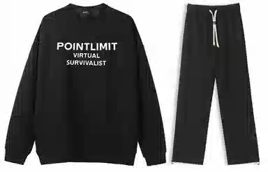 POINTLIMIT Logo