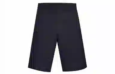 Under Armour WOVEN
