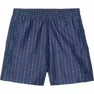 Carhartt WIP SS25 Slater Swim Trunks