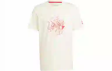 adidas Ajax Amsterdam Graphic Tee