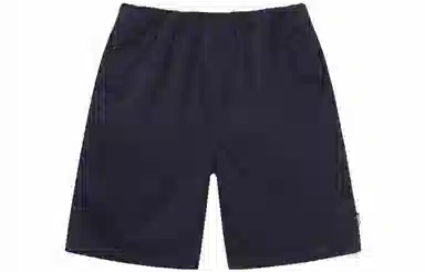 Stussy SS22 Brushed Beach Short