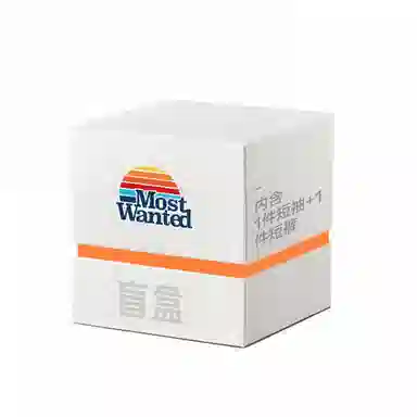 MostwantedLab T