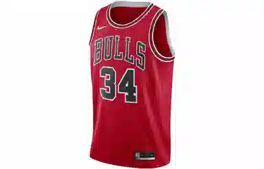 Nike NBA Chicago Bulls Wendell Carter Jr. 34 Jersey