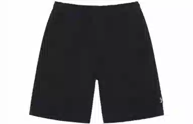 Stussy SS22 Brushed Beach Short