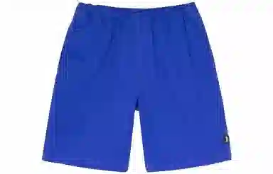 Stussy SS22 Brushed Beach Short