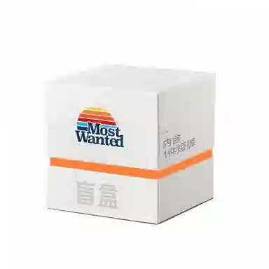 MostwantedLab T