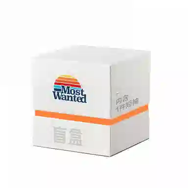 MostwantedLab T