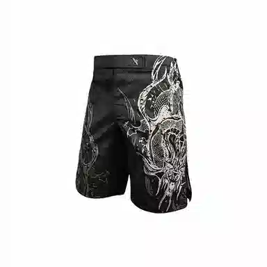 HAYABUSA MMA