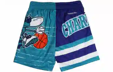 Mitchell Ness NBAlogo