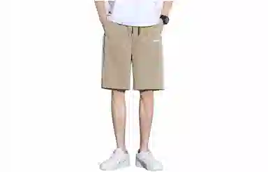tonlion