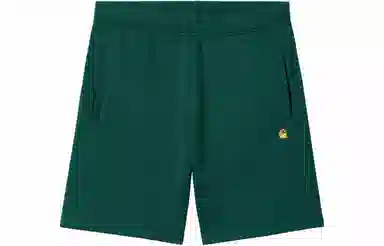 Carhartt WIP Shorts Green