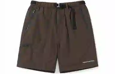 Thisisneverthat Hiking Short Brown