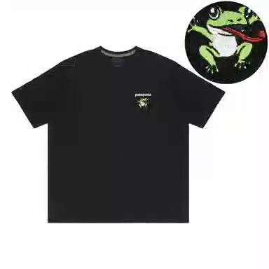 patagonia Extraordinary T