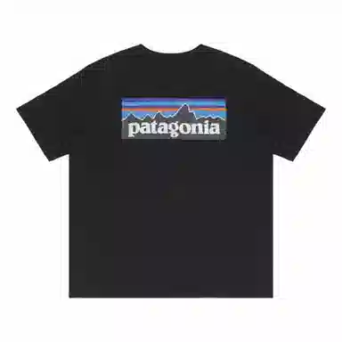patagonia Extraordinary T