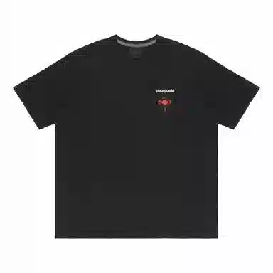 patagonia Extraordinary T
