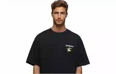 patagonia Extraordinary T