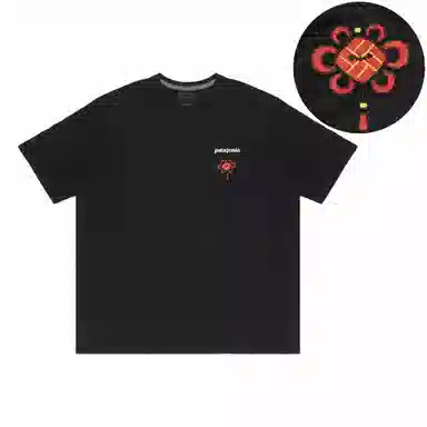 patagonia Extraordinary T