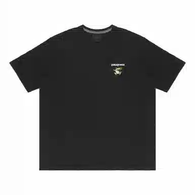 patagonia Extraordinary T