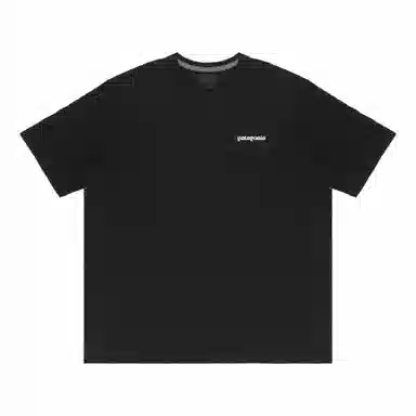 patagonia Extraordinary T