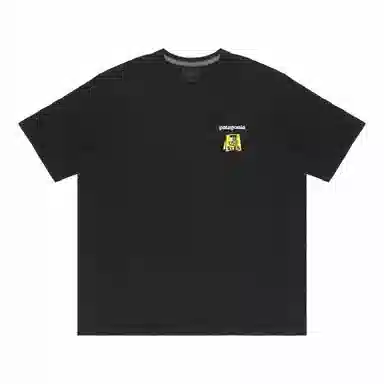 patagonia Extraordinary T