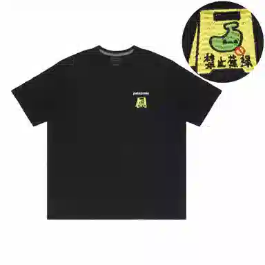 patagonia Extraordinary T