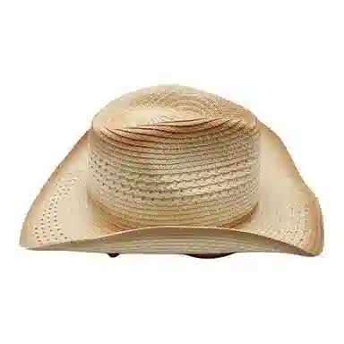 木林森 西部牛仔绑带复古户外防晒遮阳显脸小宽帽檐小草百搭海滩度假 草编 渔夫帽 男女同款情侣款