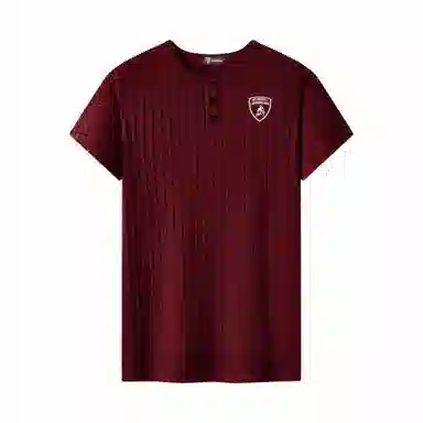 Automobili Lamborghini logoPolo