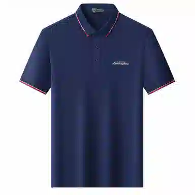 Automobili Lamborghini logoPolo