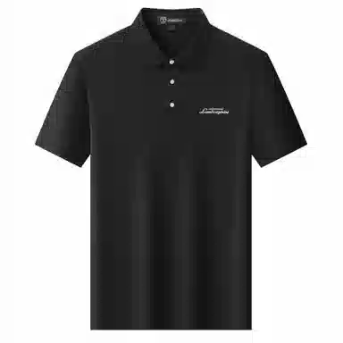 Automobili Lamborghini logoPolo