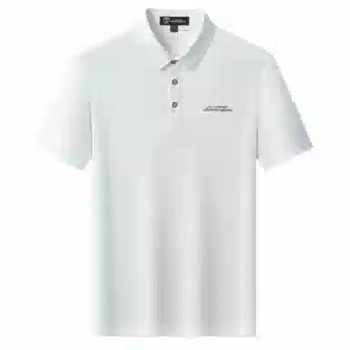 Automobili Lamborghini logoPolo