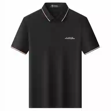 Automobili Lamborghini logoPolo