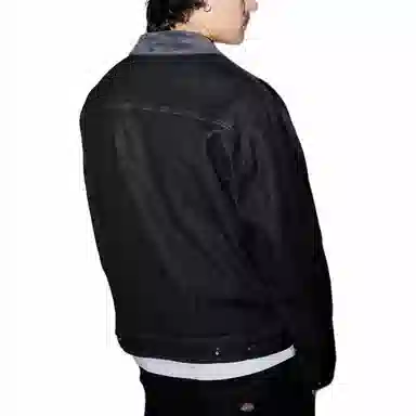Dickies FW24