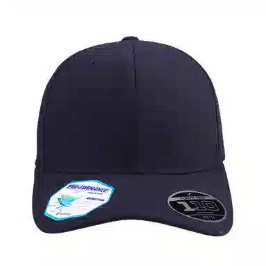 FLEXFIT 110 Series Cap