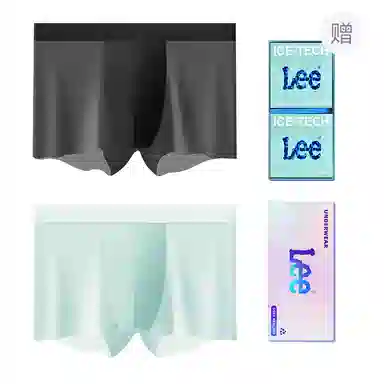 Lee 101 10A 2